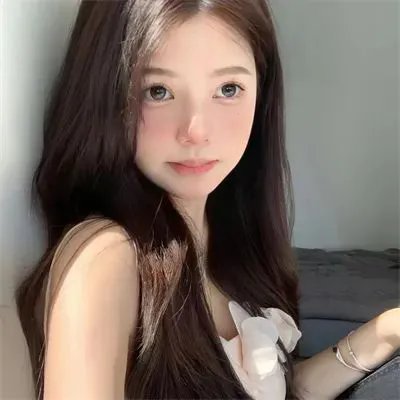 我的朋友是萌鲨